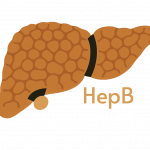 HepBLiver-CHBV4