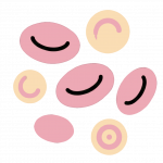 beta-thalassemia-icon